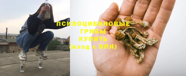 твердый Медногорск
