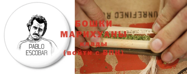 прущие крисы Мегион