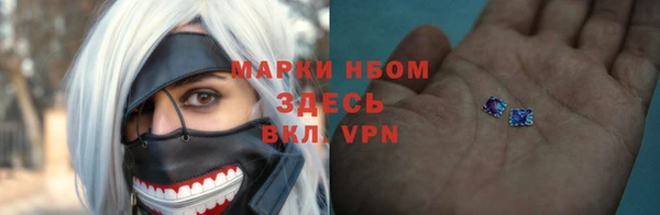 твердый Медногорск