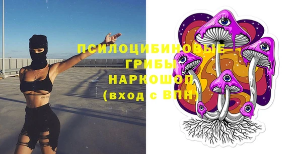 прущая мука Медвежьегорск