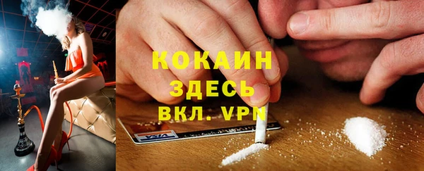 прущие крисы Мегион