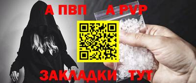 кокс Кингисепп
