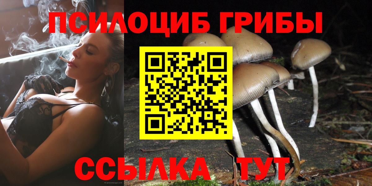 Галлюциногенные грибы Psilocybine cubensis  Вход с VPN  Сосновый Бор  Галлюциногенные грибы Psilocybe 